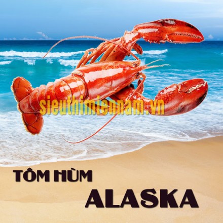 Tôm Hùm Alaska