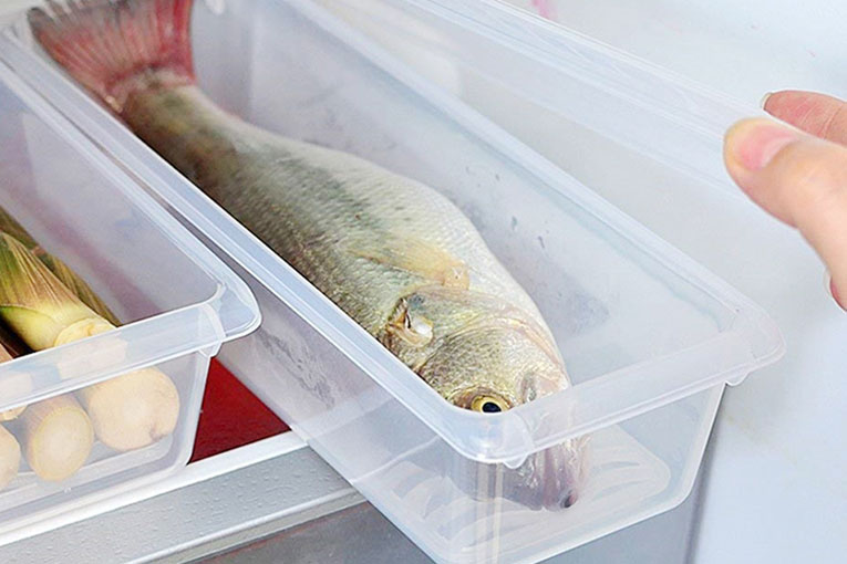 Hình bảo quản cá trong tủ lạnh gia đình